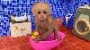 Baby Monkey Bu Bu Bath In The Bathtub And Eat Watermelon And Duckling So Cute
