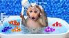 Monkey Baby Bon Bon Bath In A Bathtub With Rainbow Fish And Play In The Farm With Ducklings